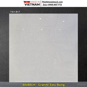 Gạch lát Viglacera Granite 60x60 TS1-617