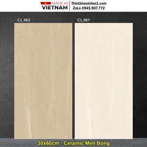 Gạch men 300x600 Viglacera CL362