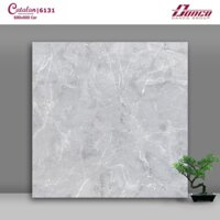 Gach Men Catalan 60 x 60 - VLXD Xanh -bề Bóng, mài cạnh, chống thấm, hạn chế trơn trượt