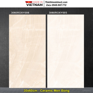 Gạch men Đồng Tâm 30x60 3060 ROXY 005