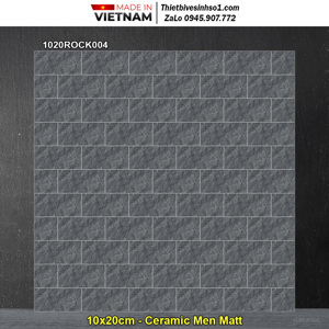 Gạch men ốp tường Đồng Tâm 1020ROCK004 - 10x20