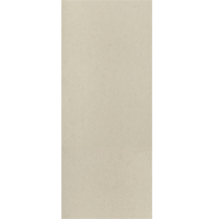 Gạch men ốp tường Đồng Tâm 2560TIENSA001 - 25x60