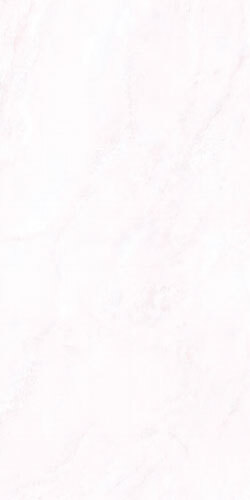 Gạch men ốp tường Đồng Tâm 2560LILY001 - 25x60