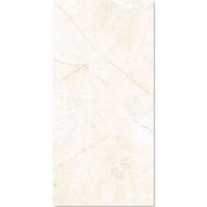 Gạch men ốp tường Đồng Tâm 2560ROME002 - 25x60