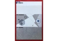 Gạch men Viglacera 30x60 KT-CE3613