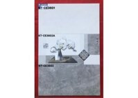 Gạch men Viglacera 30x60 KT-CE3601