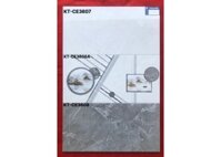 Gạch men Viglacera 30x60 KTCE3607