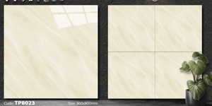 Gạch nhập khẩu 800x800mm TP8023