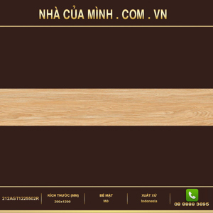 Gạch nhập khẩu Indonesia 212AGT1225502R vân gỗ