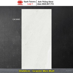 Gạch ốp  30x60 Taicera G63065