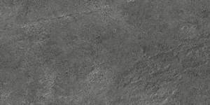 Gạch ốp  30x60 Taicera G63764