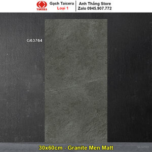 Gạch ốp  30x60 Taicera G63764