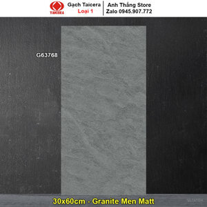 Gạch ốp  30x60 Taicera G63768