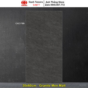 Gạch ốp  30x60 Taicera G63769