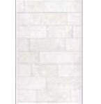 Gạch ốp Đồng Tâm 2540 HOADA 001 - MS1843