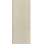 Gạch ốp Đồng Tâm 2560TIENSA001 - MS5955
