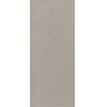 Gạch ốp Đồng Tâm 2560TIENSA003 - MS5956