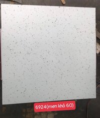 Gạch ốp lát 60×60 giả đá Granito-Terrazzo 6924
