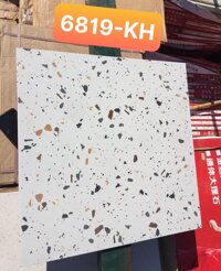 Gạch ốp lát 60×60 giả đá Granito-Terrazzo 6819
