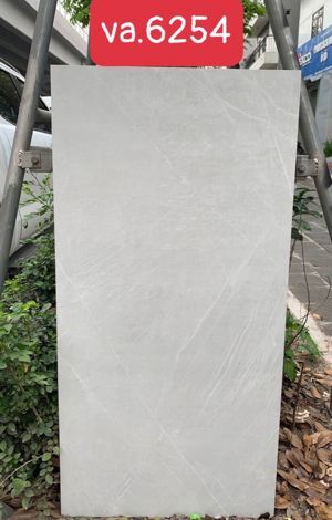 Gạch ốp lát Ấn Độ 60x120 VA-6254