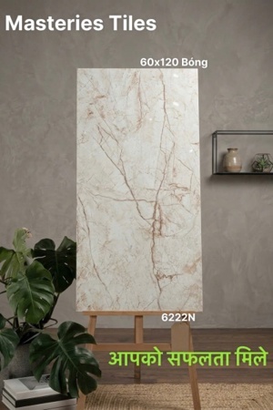 Gạch ốp lát Ấn Độ 60x120 VA-6222