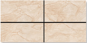 Gạch ốp lát Ấn Độ 60x120 VA-6203