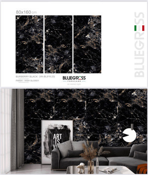 Gạch ốp lát Ấn Độ 80x160 VA-BL816.23