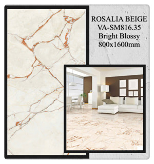Gạch ốp lát Ấn Độ 80x160 VA-SM816.35