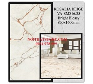 Gạch ốp lát Ấn Độ 80x160 VA-SM816.35
