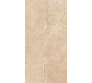 Gạch ốp lát Apodio 60x120 61182024