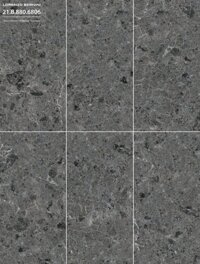 Gạch ốp lát Bernini 60×120 mã 6806