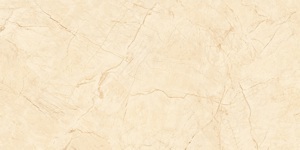 Gạch ốp lát Catalan CTN-1208 - 60x120