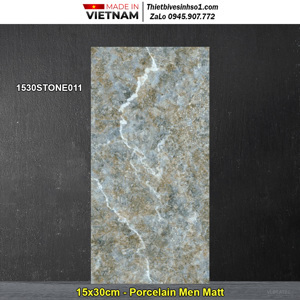 Gạch ốp lát Đồng Tâm 1530STONE011
