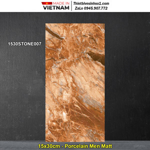 Gạch ốp lát Đồng Tâm 1530STONE007