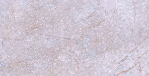 Gạch ốp lát Đồng Tâm 1530STONE010