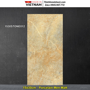 Gạch ốp lát Đồng Tâm 1530STONE012