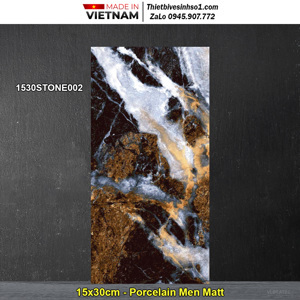 Gạch ốp lát Đồng Tâm 1530STONE002
