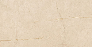 Gạch ốp lát Đồng Tâm 1530STONE008