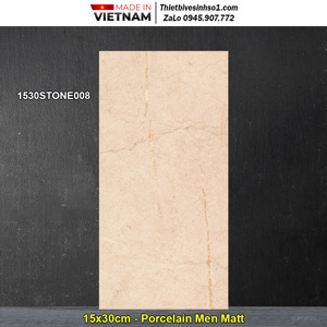 Gạch ốp lát Đồng Tâm 1530STONE008