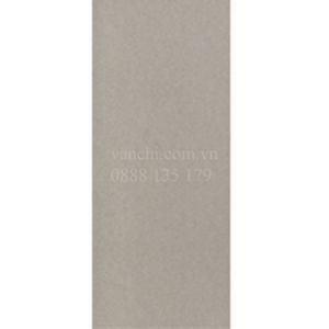 Gạch ốp tường Đồng Tâm 2560TIENSA003 - 25x60
