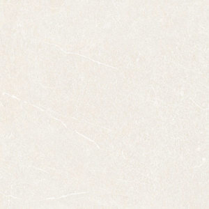 Gạch ốp lát Đồng Tâm 3030GECKO002