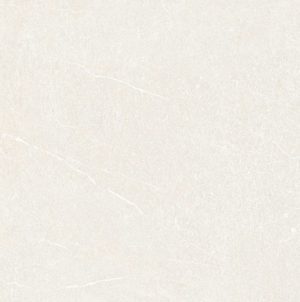 Gạch ốp lát Đồng Tâm 3030GECKO002