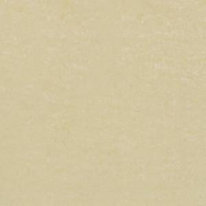 Gạch ốp lát Đồng Tâm – 6060DB006-NANO (60×60)
