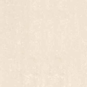 Gạch ốp lát đồng tâm 6060DB028 NANO (60×60)