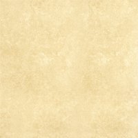 Gạch ốp lát Đồng Tâm – 6060WS004 (60x60)