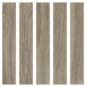 Gạch ốp lát Eurotile MOC M03