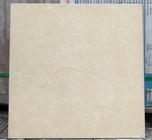 Gạch ốp lát Prime 50×50 2626