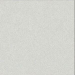 Gạch ốp lát Taicera G38025 (30x30)