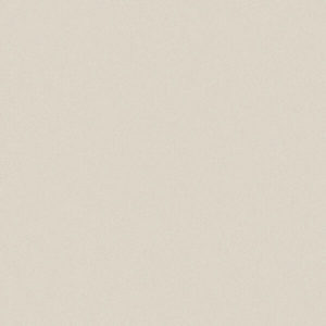 Gạch ốp lát Taicera G49034 (40x40)