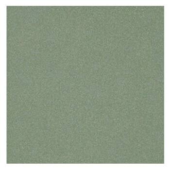 Gạch ốp lát Taicera G49042 (40×40)